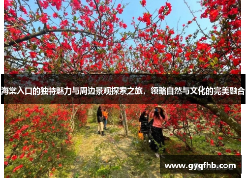海棠入口的独特魅力与周边景观探索之旅，领略自然与文化的完美融合